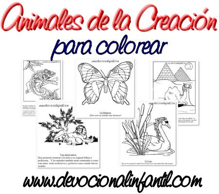 Animales de la Creación – Dibujos para Colorear